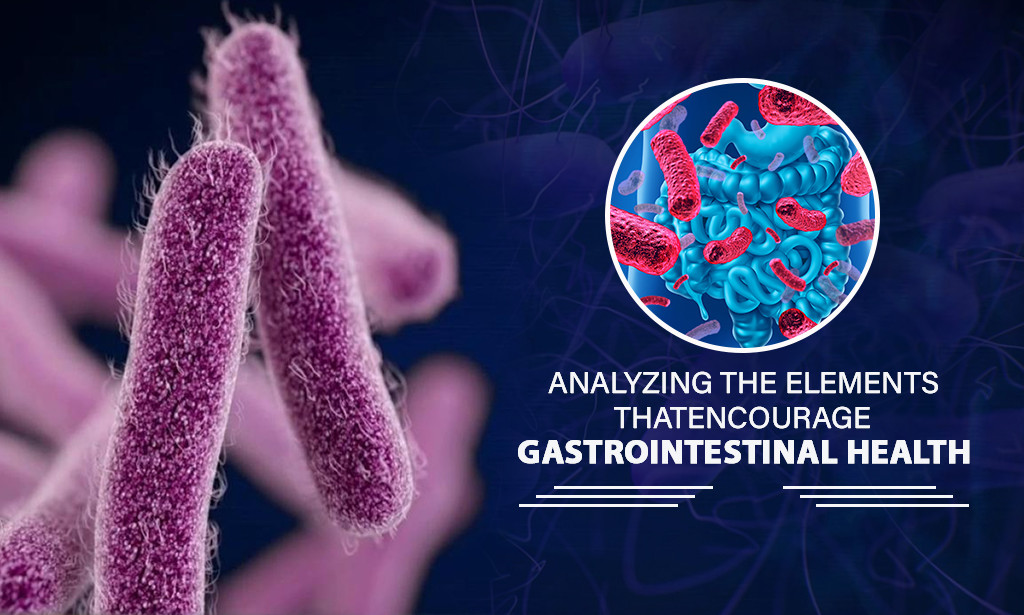 How to Source Elements That Promote Digestive Health