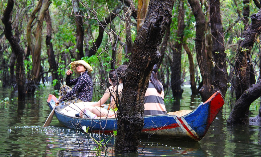An Eco-Adventure: Exploring Andaman's Mangrove Forests