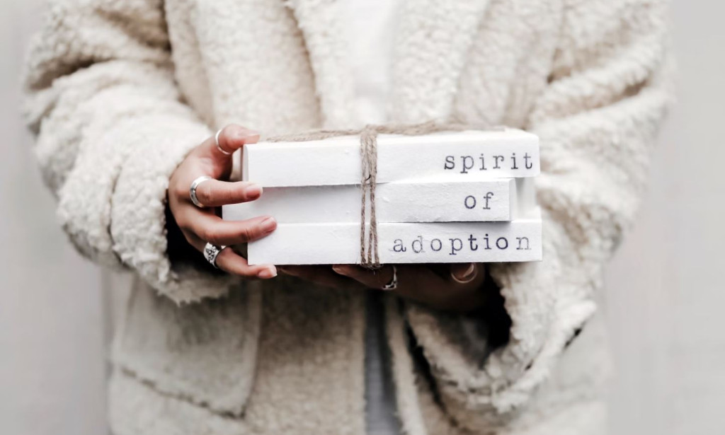 Why Should You Get a Family Lawyer for Adoption?