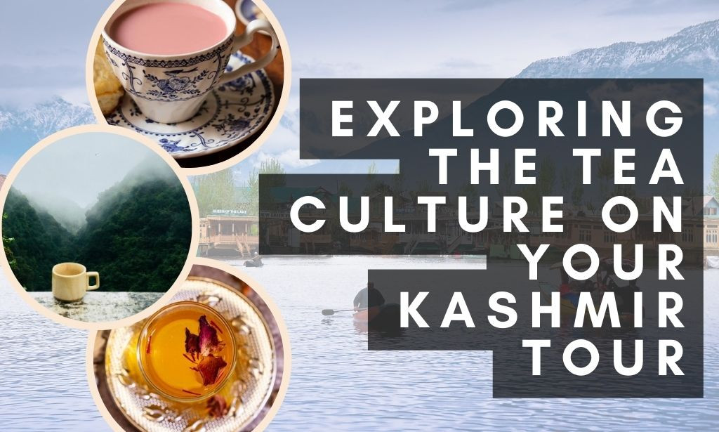 Exploring the Tea Culture on Your Kashmir Tour: Kahwa, Butter Tea, Pink Tea