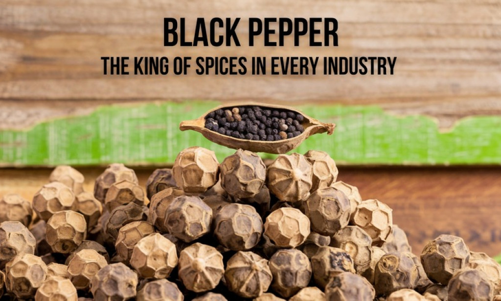 Black Pepper Beyond Spice: How Piper Nigrum Suppliers Serve Multiple Industries