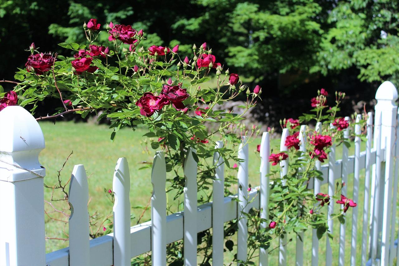 A vinyl fence