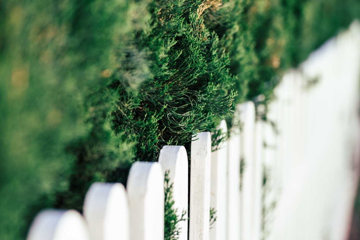 White vinyl fencing installed by professionals in Berlin Township