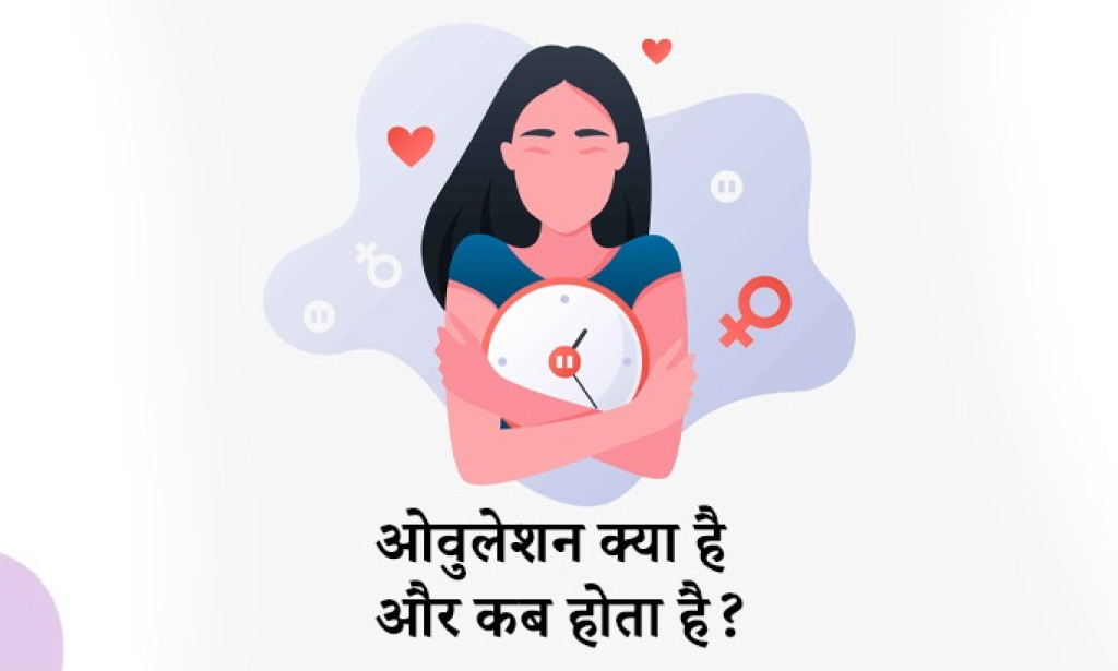 Ovulation Meaning in Hindi