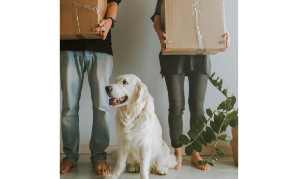 Mark's Moving & Storage Launches Specialized Senior Relocation Services