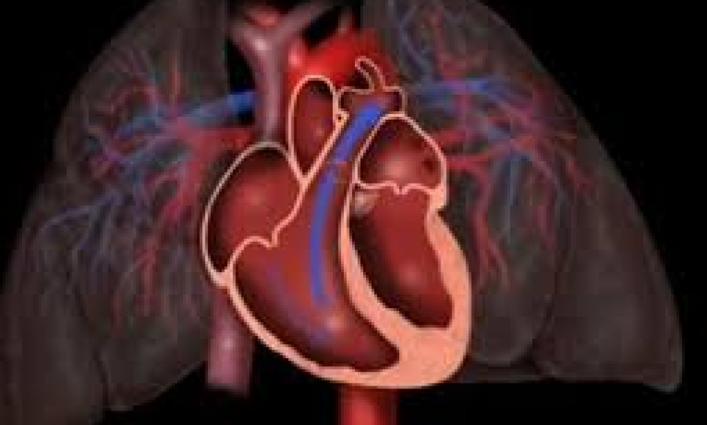 What Is Patent Ductus Arteriosus? How Intellectual Property Law Firms Safeguard Medical Research