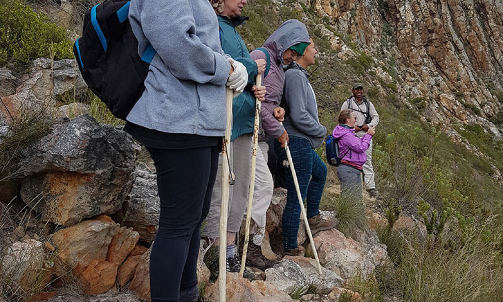 Discover Authentic European Walking Experiences for Global Travellers Seeking Nature Culture Comfort With Green Mountain