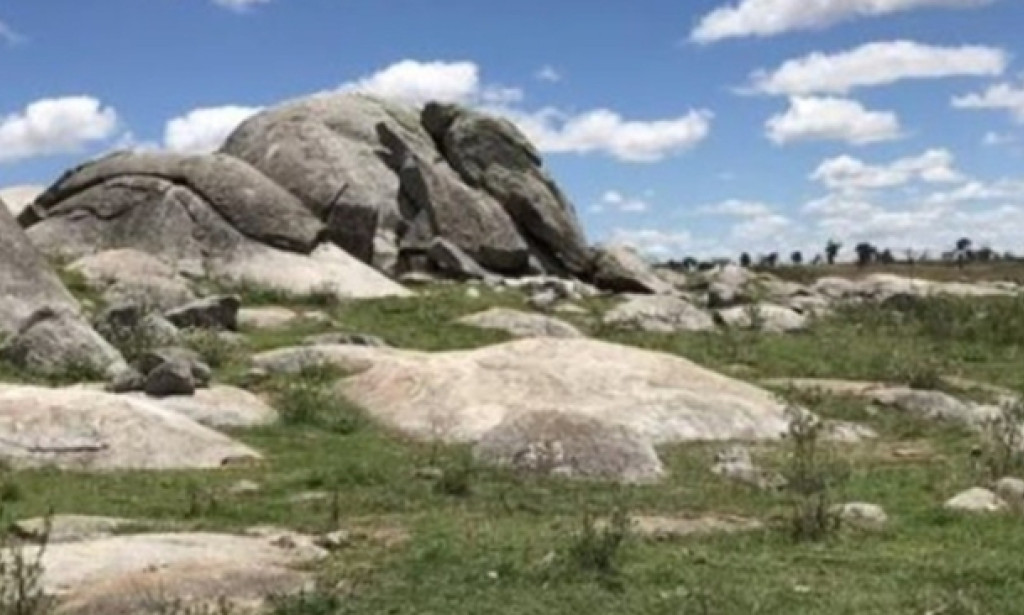 How A Heritage Impact Assessment Supports DA Approval In Mid-Coast NSW