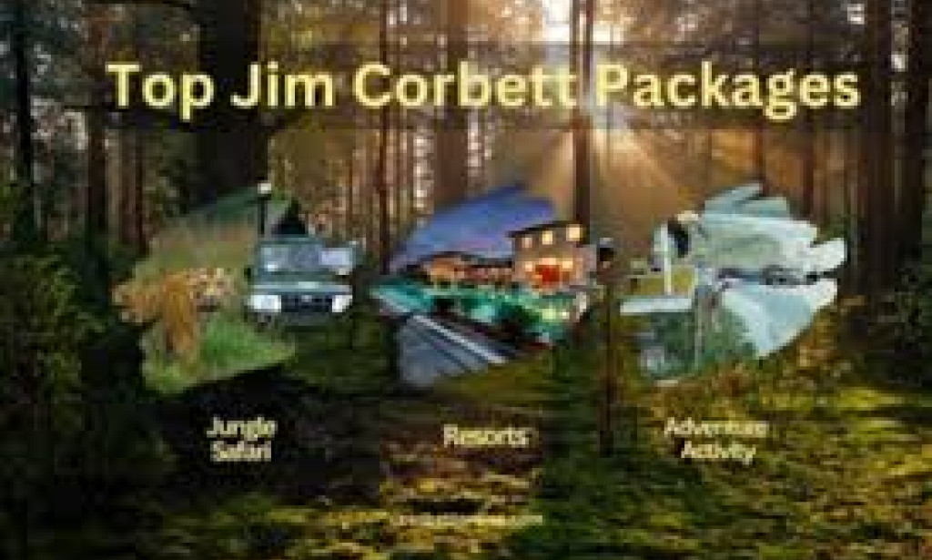 Jim Corbett Tour Packages for an Unforgettable Wildlife Experience in Jim Corbett National Park