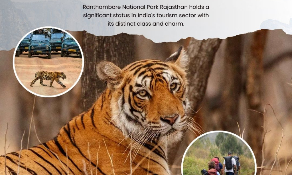 A Wild Retreat in Royal Rajasthan: Discovering Ranthambore National Park