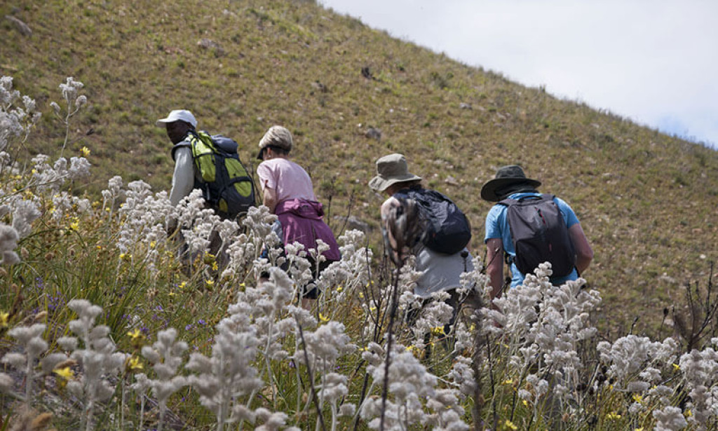 Blue Mountain Hike & Langebaan Beach Cottage Escapes in South Africa with Green Mountain A Complete Travel Guide for Coastal Serenity and Adventure Seekers